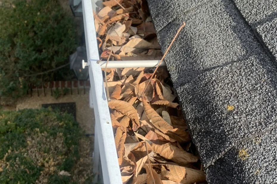McKeesport Gutter Cleaning